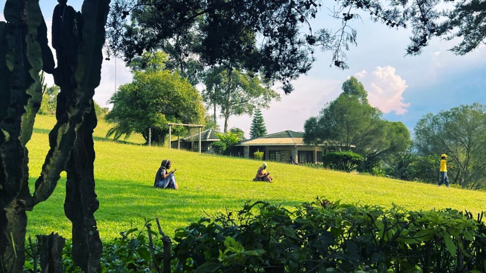The Convergence of International Development and Employability
